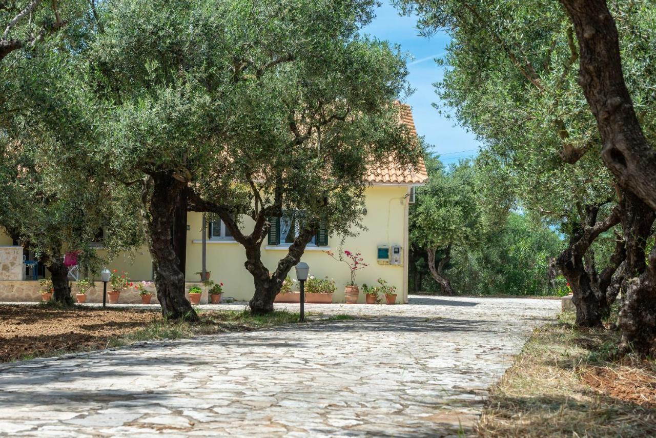 Olivegrove Villa - Nestled In Olive Trees With Private Pool, By Zantewize トラガキオン エクステリア 写真