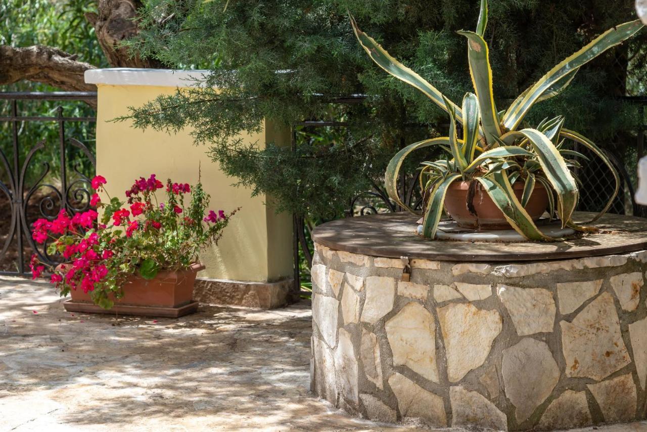 Olivegrove Villa - Nestled In Olive Trees With Private Pool, By Zantewize トラガキオン エクステリア 写真