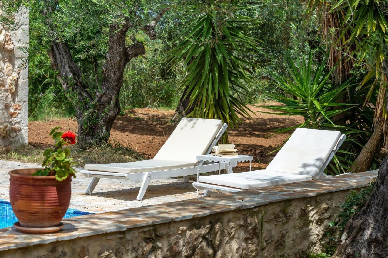Olivegrove Villa - Nestled In Olive Trees With Private Pool, By Zantewize トラガキオン エクステリア 写真